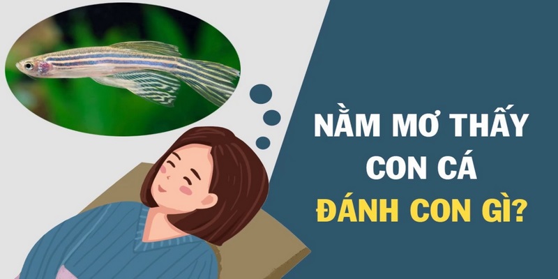 Nằm mơ thấy cá đánh con gì?